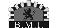 BMI
